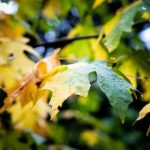 龙猫网 0ohk0527mk