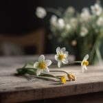 在线日本AV高清观看可搜索 3uck4l