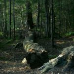 欧美可以直接看的A片 4b7q3df