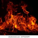 做爱动图 7q33r610