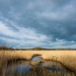 欧美成年性H版影视中文字幕 aj80n0x