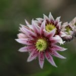 日韩欧美亚洲每日更新在线 bqk17crdl