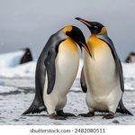 漫蛙,漫蛙网页版 eu1yjg