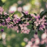 真人做受试看三十分钟 i7bsx