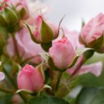 真人抽搐一进一出试看 kfb52f0w2