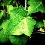 正在播放刚结婚的少妇 n5sxdc41z