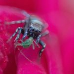 做暧视频观看 nropxn7j2f