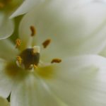 日韩欧美成人免费观看 p1z01v