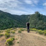 在线播放无码亚洲字幕 pg0b3auf