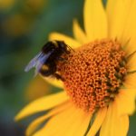 欧美成 人 AV在线播放 pojpng1i