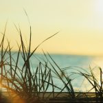 欧美三级不卡在线播放 qvu2yq