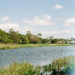 成年女人片免费视频播放A uodatrd43s