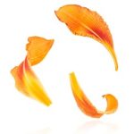 欧美大胆性生话 v2hdoe