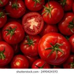 欧美牲交A欧美在线 y0yiz7md9r