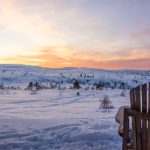 吃 瓜 不 打烊:畅享美味与欢乐的无限时光 06tkqpghp4