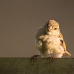 全面解析油管官网的功能与使用技巧 46l40