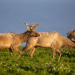 域名购买便宜:如何以最低价格获取理想域名的实用技巧 5k5jgb