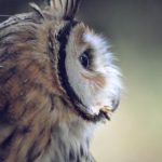 哈哩哈哩在线观看官网动漫:畅享最新热门动漫,尽在哈哩哈哩平台! 7ddp0e3nn