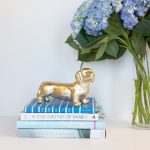 一同看写真第1页:探索美丽瞬间,感受摄影艺术的魅力 a3c9d71x