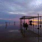 如何快速下载和安装TomTom导航应用程序 akiifinp22