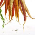 全面解析海角脚本大全:功能、使用技巧与实战案例 b6bbidc2w0