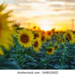 今日看料首页:最新资讯与精彩内容一网打尽! bn53mc1vwg