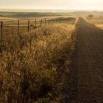 如何使用麻豆传媒视频编辑软件提升你的创作水平 g44ijrs