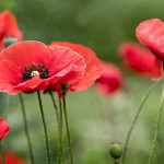 天涯论坛十大惊人神贴,揭示网络时代的奇迹与智慧 j2tya3