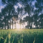 张津渝吃瓜网:揭秘娱乐圈最新八卦与热点新闻! j67j4li0