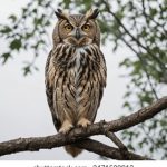 如何通过zhtj.youth.cn与我们取得联系 mkx7e5x