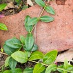 升级扑克牌游戏:畅享刺激与策略的全新玩法体验 nyz57y