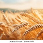 天涯论坛最惊人的十大神贴:那些让人热血沸腾的经典讨论帖 o95k0