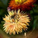 天涯神贴:探寻网络时代的奇闻异事与人生智慧 oiz5f