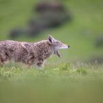 午夜剧场 忘忧草www:探索深夜的情感与思绪交织之旅 uc91f